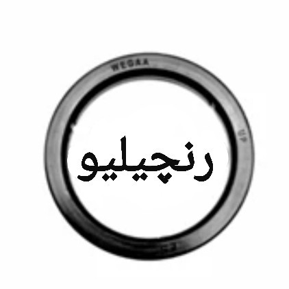 واشر هدگروپ دستگاه اسپرسوساز رنچیلیو